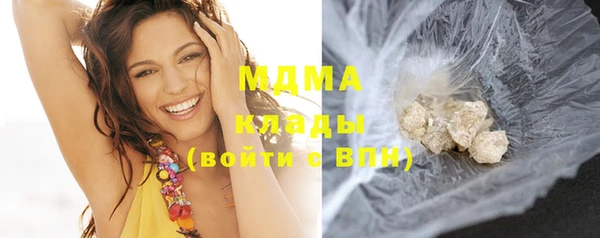 шишки Бикин