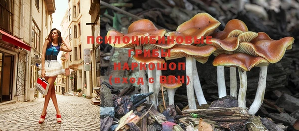 амф Баксан