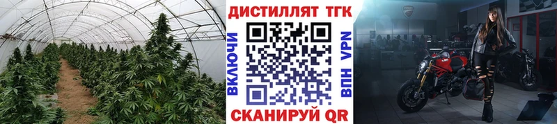 OMG ссылка  Армавир  ТГК жижа 