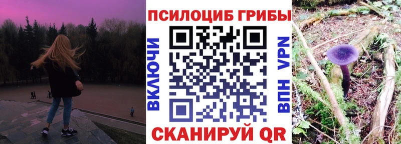 площадка какой сайт  Армавир  Галлюциногенные грибы Cubensis  дарнет шоп 