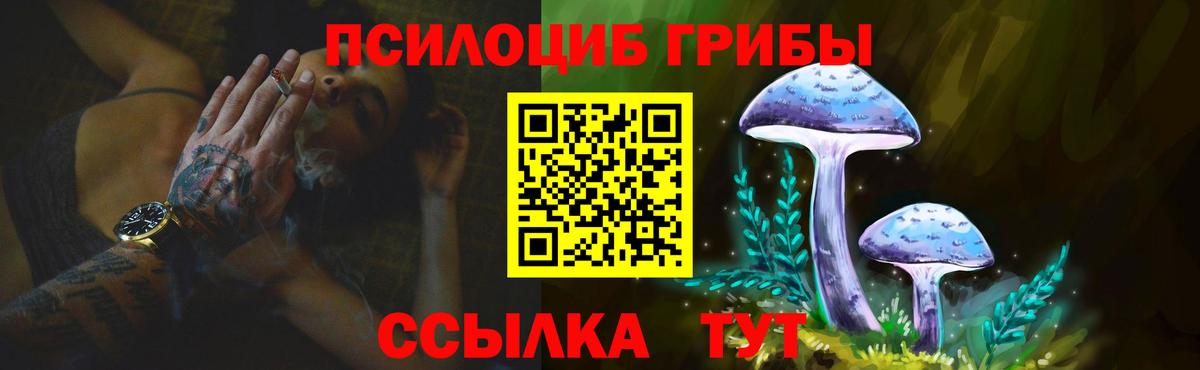 Армавир  Псилоцибиновые грибы Psilocybine cubensis  Вход с VPN 
